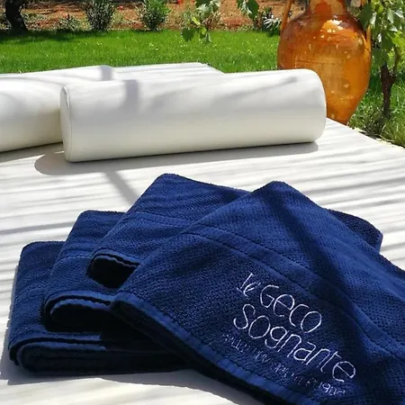 Сasa de vacaciones Trulli Il Geco Sognante *