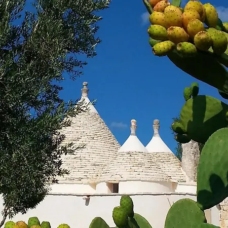 Trulli Il Geco Sognante Holiday home *
